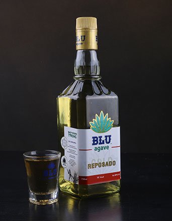 Blue-agave-gold